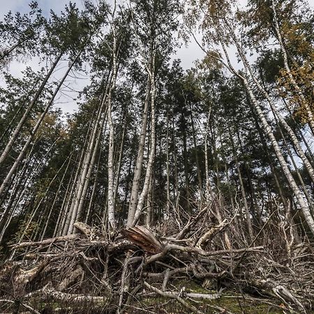 Veul Oe Thuus Hoeve Kroep An Ворден Экстерьер фото