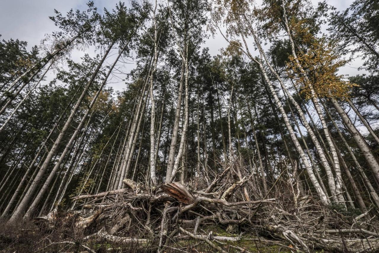 Veul Oe Thuus Hoeve Kroep An Ворден Экстерьер фото
